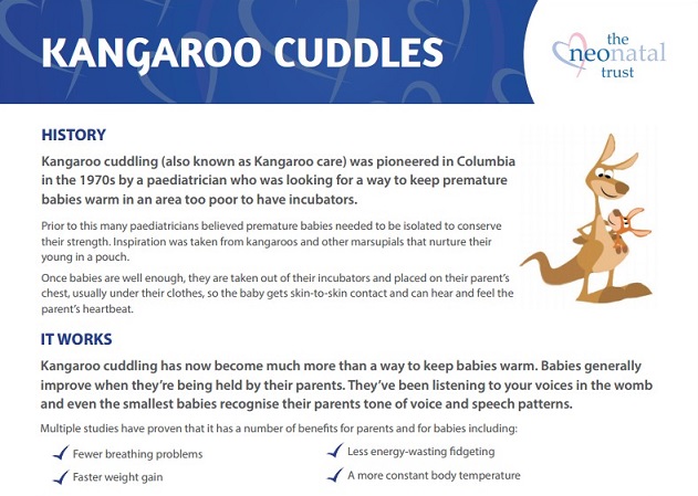 Kangaroo Cuddles image 
